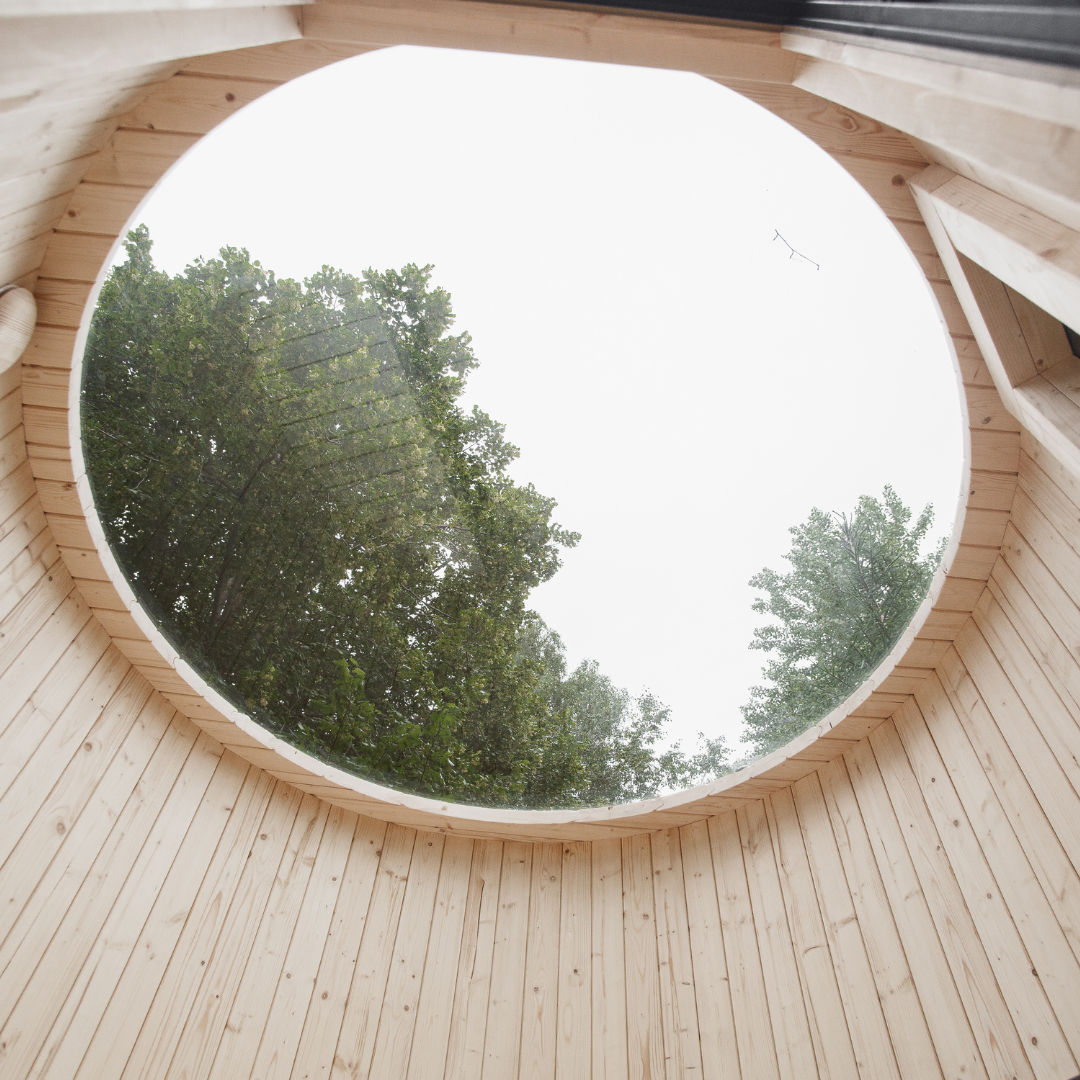 Window (panoramic) – roof